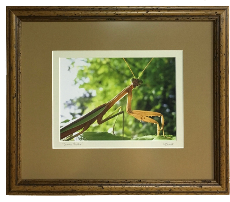 Photography - Picture Frame (1024x1024), Png Download