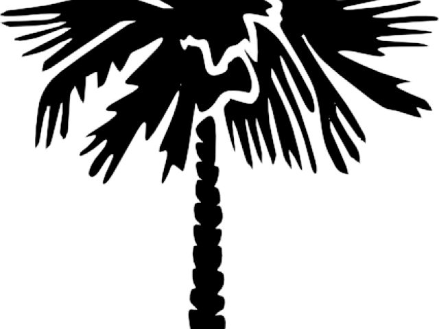 Shadow Clipart Coconut Tree - Gear Of Theta Tau (640x480), Png Download