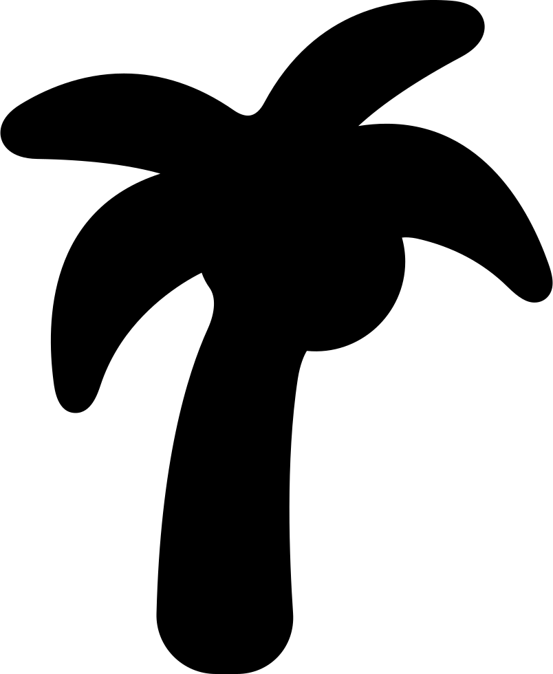Coconut Tree Comments - Coconut (804x980), Png Download