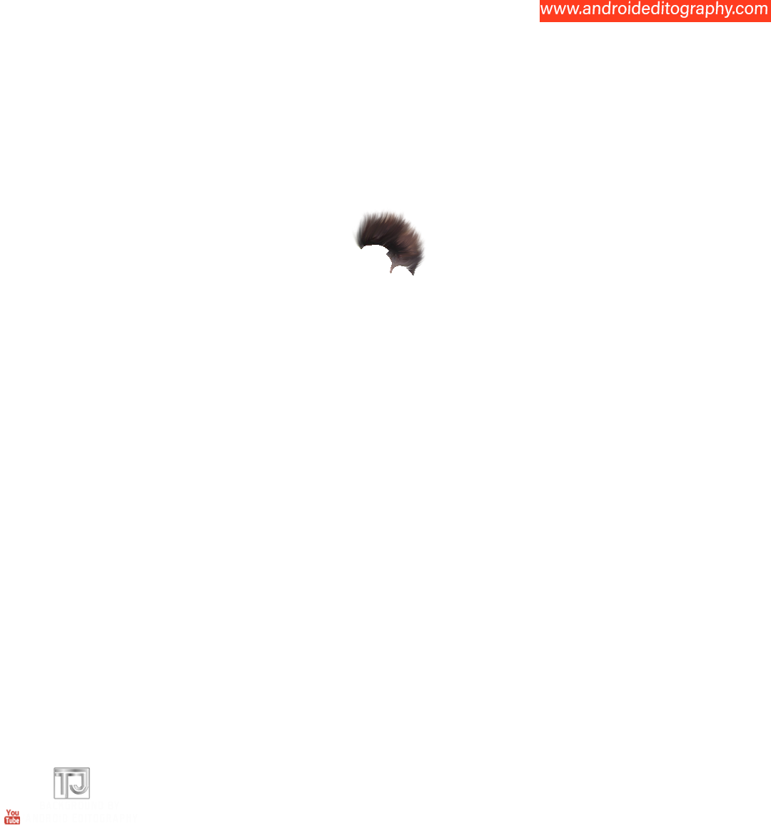 Hair Png - Pyrrharctia Isabella (1080x1160), Png Download