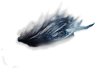 Eyebrows Png ➤ Download - Belted Kingfisher (706x1024), Png Download