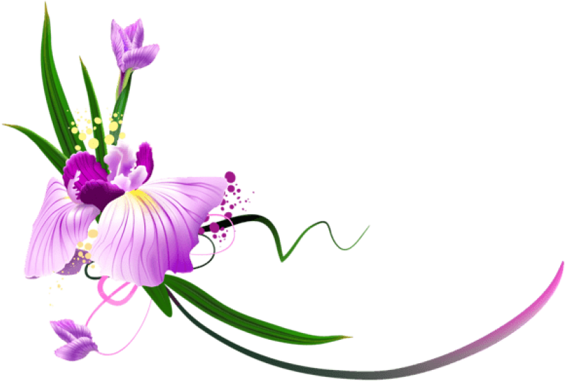 Free Png Download Beautiful Purple Floral Decor Clipart - Flowers Clip Art Border Png (850x593), Png Download