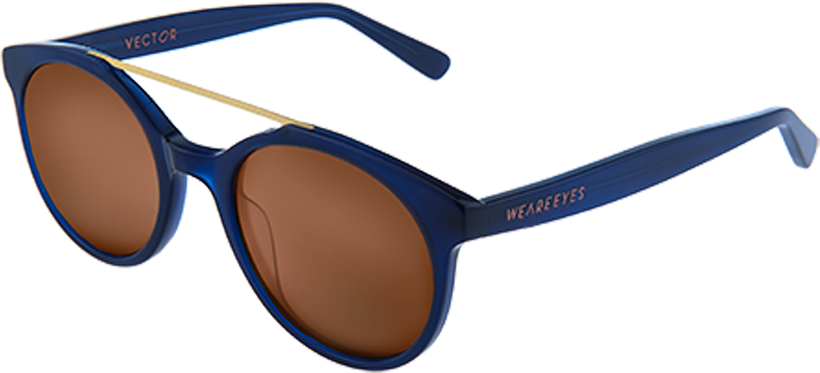 Vector Blue With Brown Lenses By Weareeyes Product - Occhiali Dolce E Gabbana Foglia Oro (1200x1200), Png Download