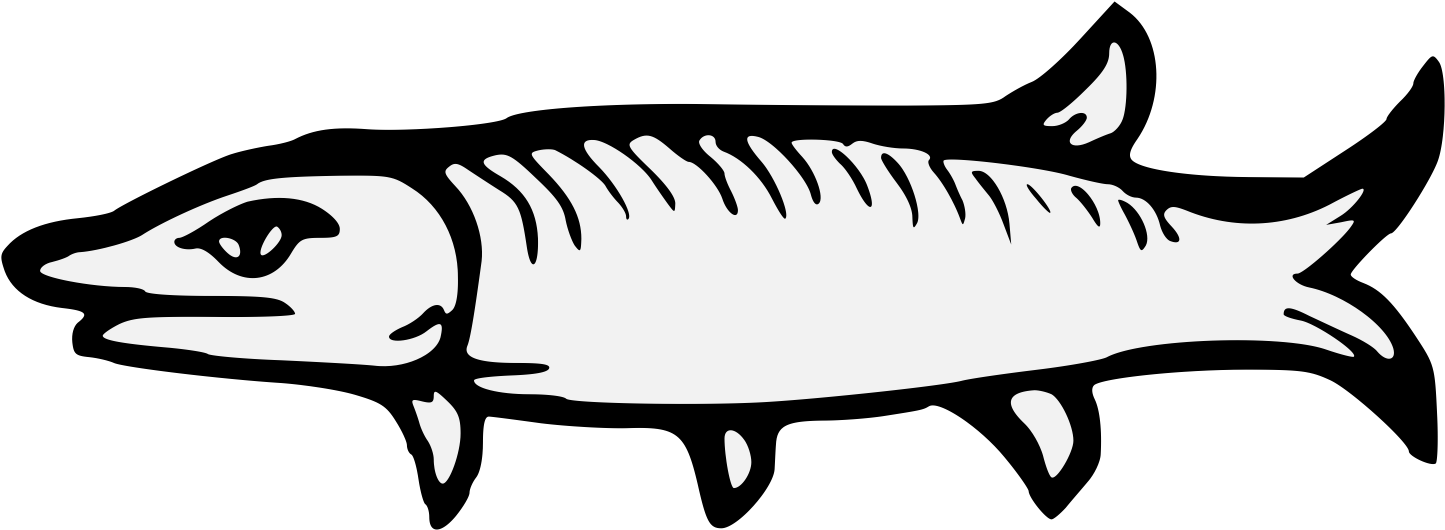 Details, Png (1462x543), Png Download