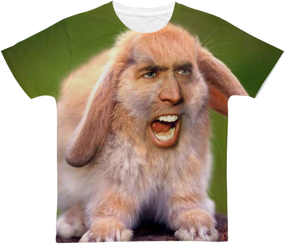 Nicolas Cage As A Rabbit Classic Sublimation Adult - Nicolas Cage Bunny (1024x1024), Png Download