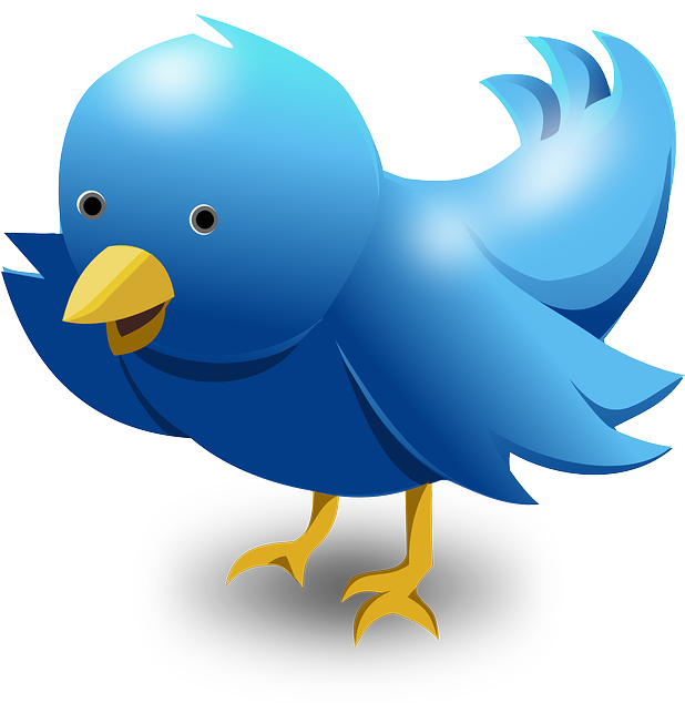 Internet Marketing And At A Certain Moment My Attention - Transparent Background Dead Twitter Bird (617x640), Png Download