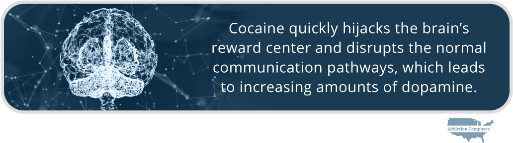 Com The Dangers Of Using Cocaine Intravenously Cocaine - Addiction Campuses (1043x302), Png Download