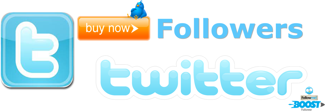 Buy Twitter Followers - Twitter (1125x387), Png Download