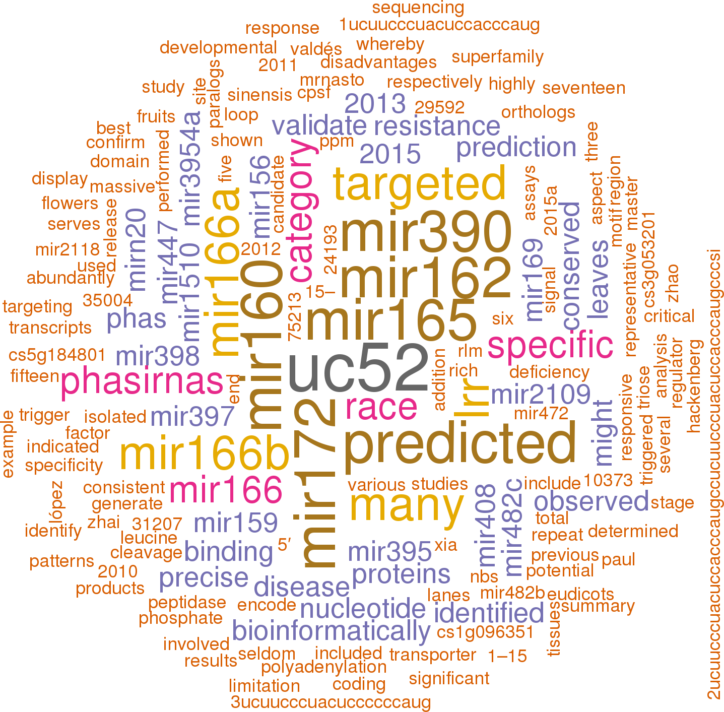 Stem Loop Sequence Csi Mir482a - Theme Park Words (1437x1413), Png Download