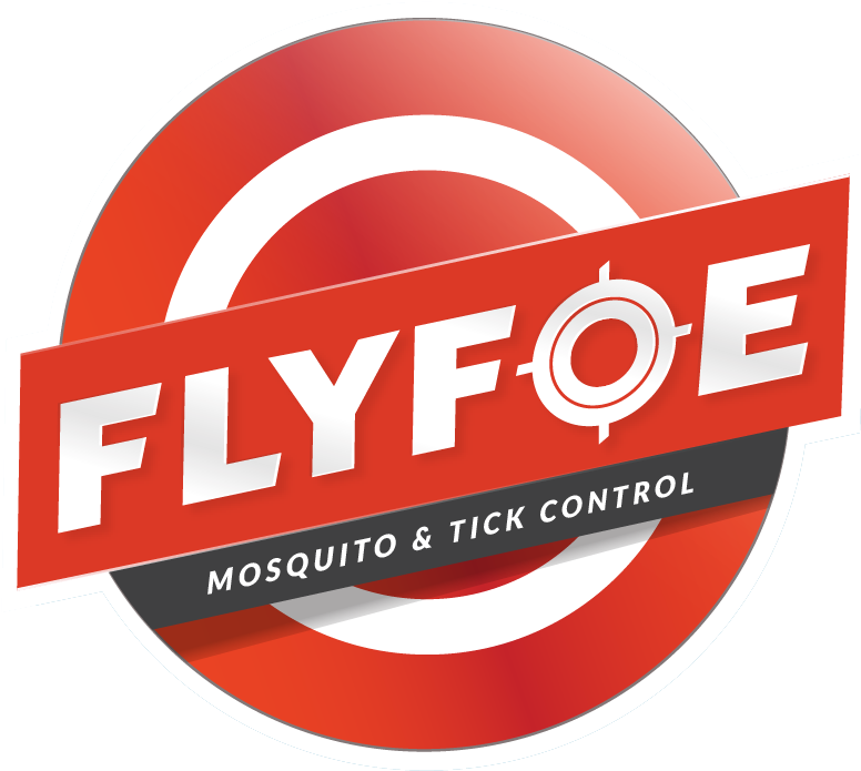 Circle (778x750), Png Download