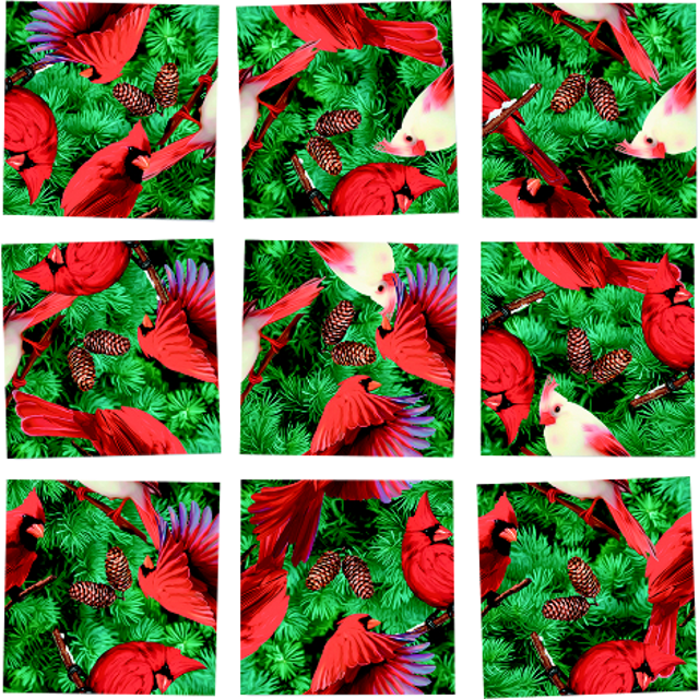 Scramble Squares - Cardinals - Floral Design (640x640), Png Download