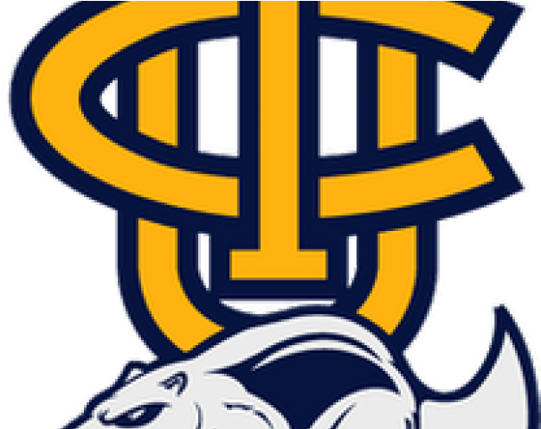 Anteater Clipart Uci - University Of California, Irvine (640x480), Png Download