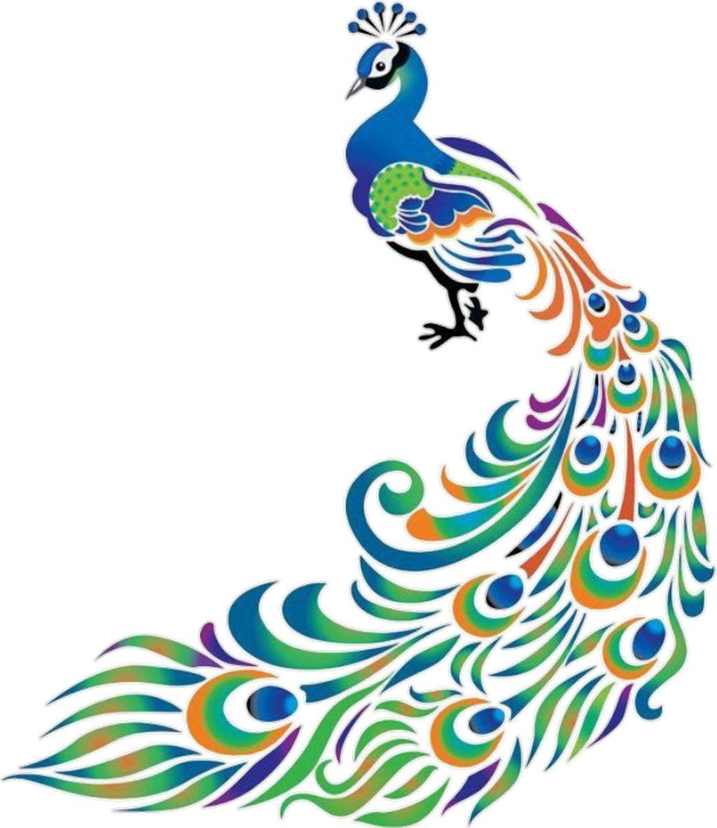 Peacock Sticker - Colorful Drawings Of Peacock (1024x1183), Png Download