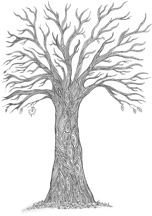 This Was Due To Fear That The Resolution Of The Scanned - Pond Pine (1600x900), Png Download