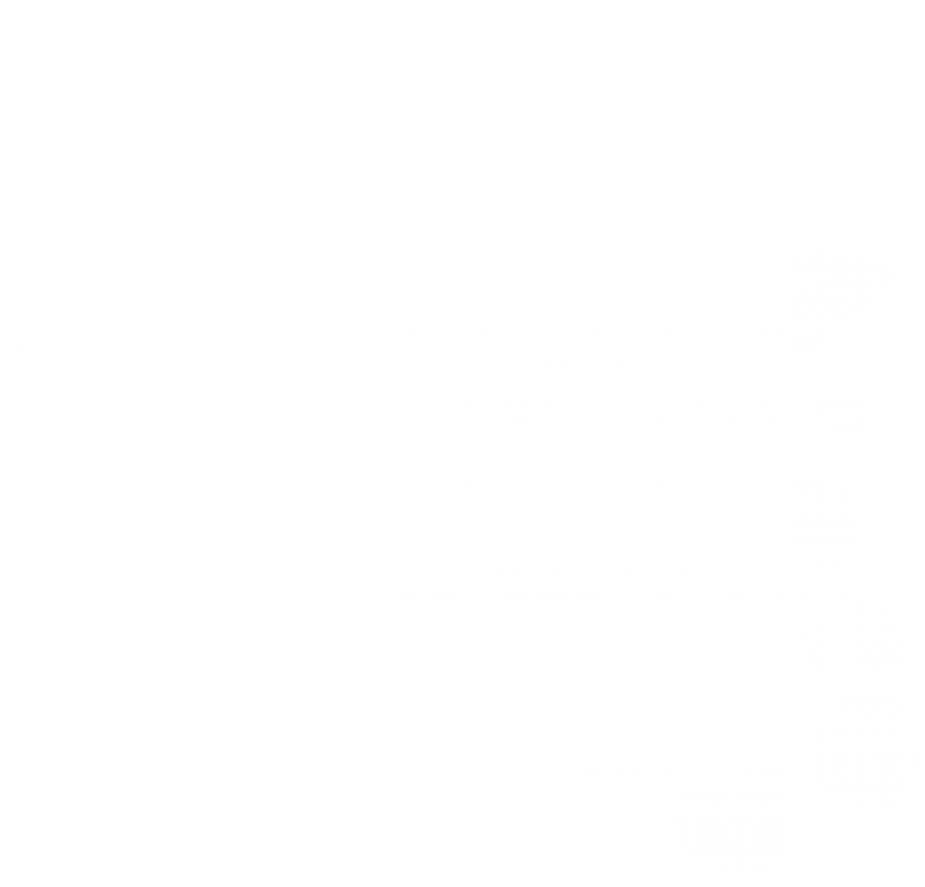 Free Png Download White Deco Flowers Transparent Clipart - Illustration (850x815), Png Download