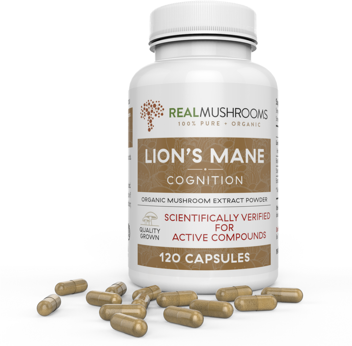 Lions Mane Extract - Cordyceps-m 60g Bulk Powder (1466x1500), Png Download