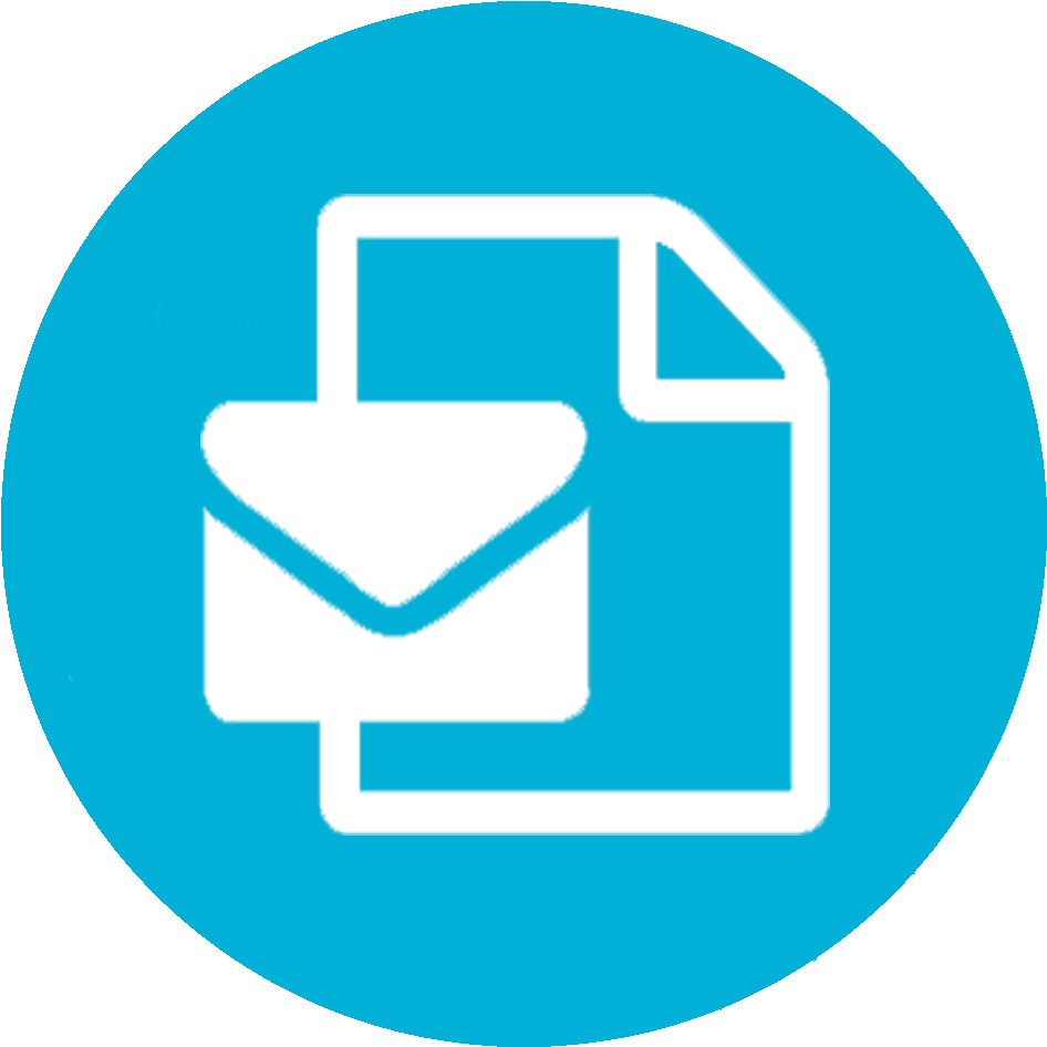 Online, Using The Illinois Online Voter Registration - Payload Icon (1044x1027), Png Download