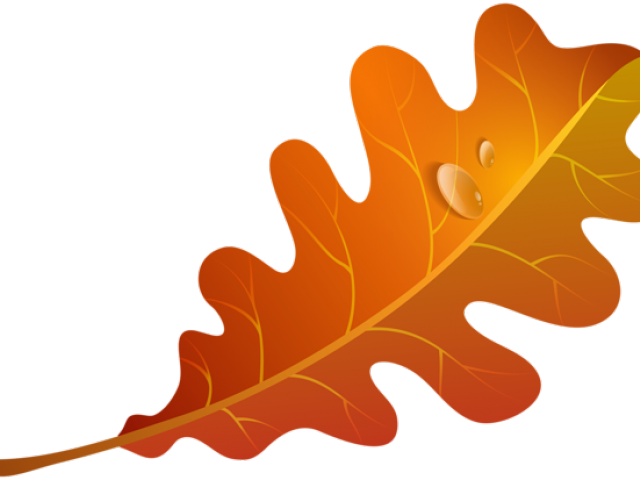 Autumn Leaves Clipart Orange Leaf - Orange Fall Leaf Clip Art (640x480), Png Download