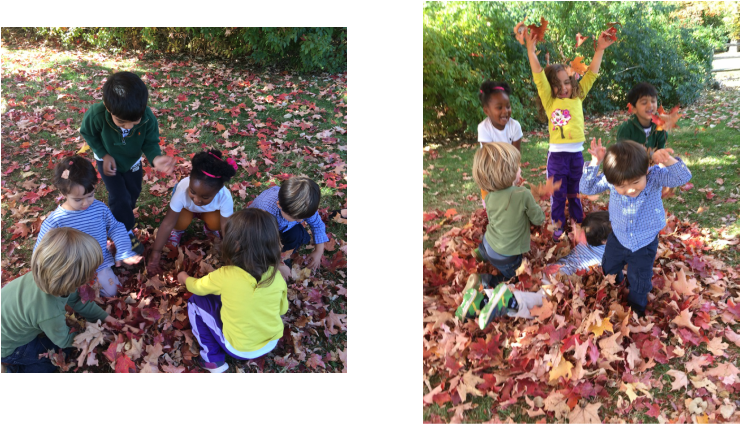 The Toddlers Used First Their Hands, Then Rakes And - Child (741x425), Png Download