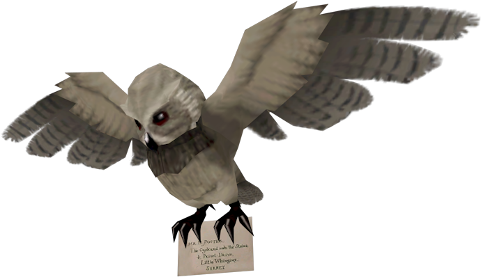 Cg5ripp - Harry Potter Owl Transparent (750x650), Png Download