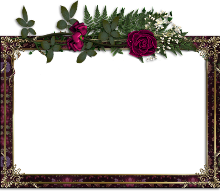 Which Habs Mom Is This - Picture Frame (703x610), Png Download