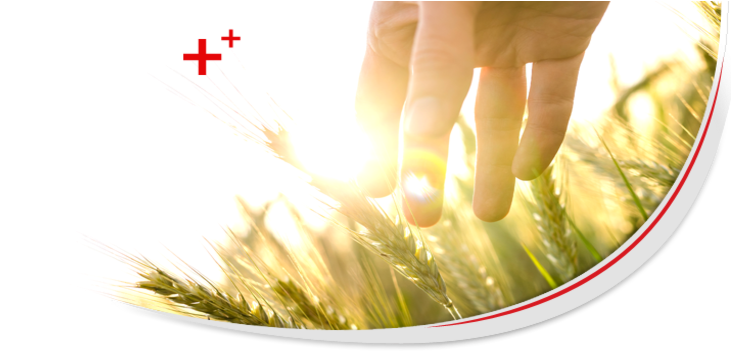 Together - Hand (940x350), Png Download