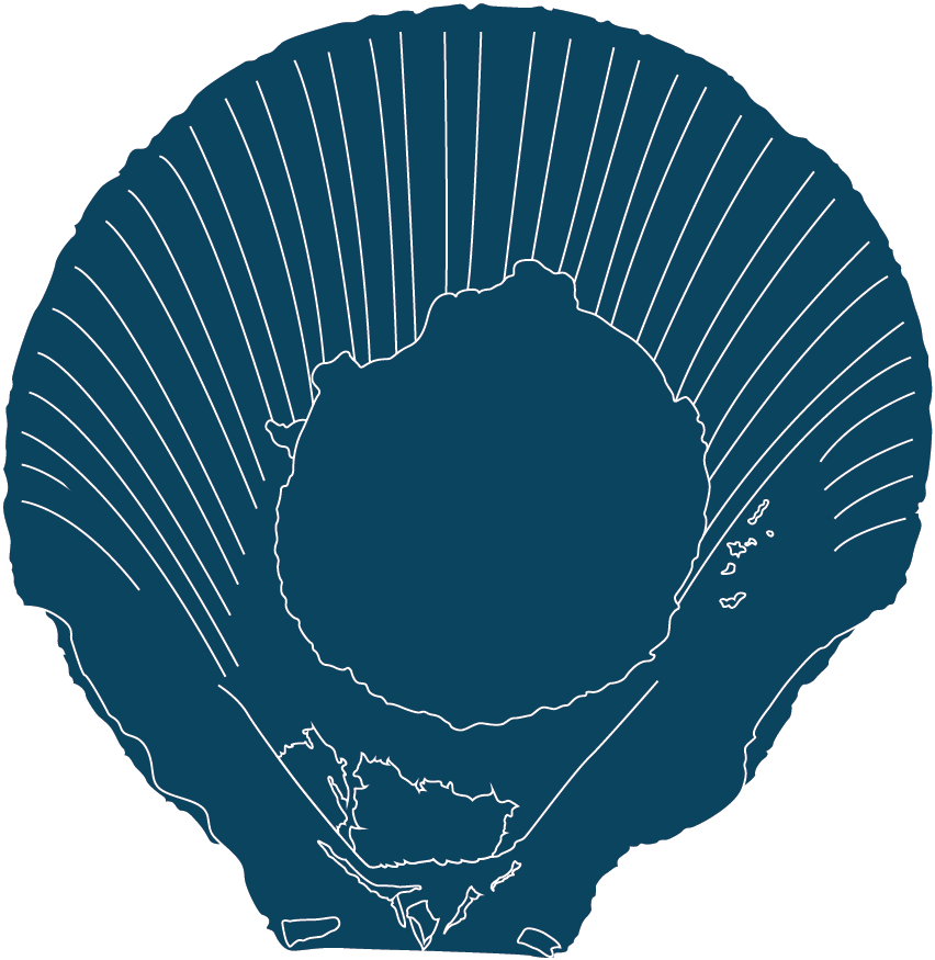 Several Species Occur Off The Coast Of Western Australia (3000x1000), Png Download