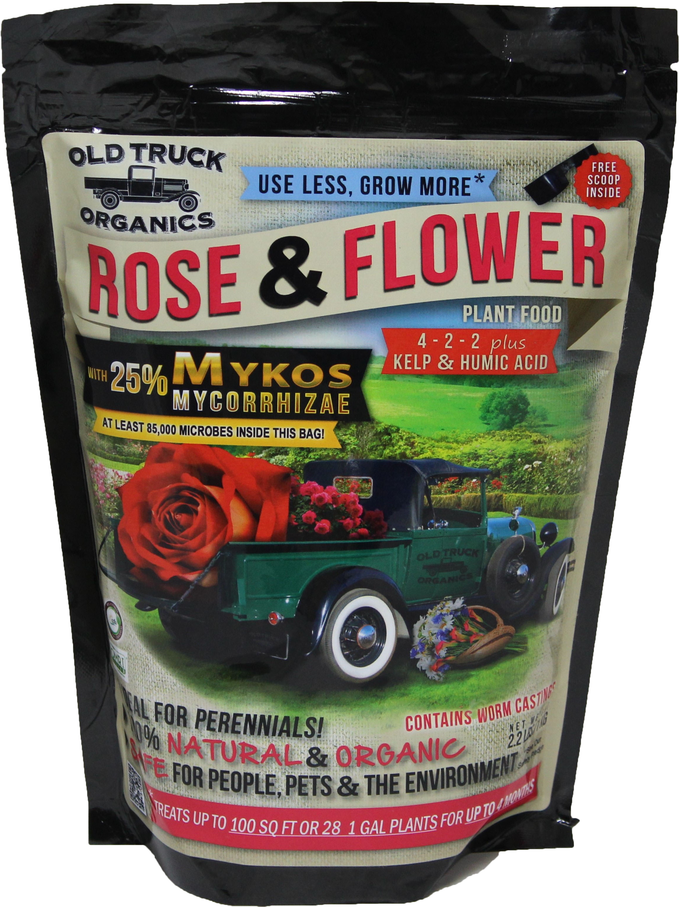 Oto Rose & Flower - Hybrid Tea Rose (2746x3167), Png Download