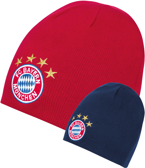 Fc Bayern Munich (660x660), Png Download