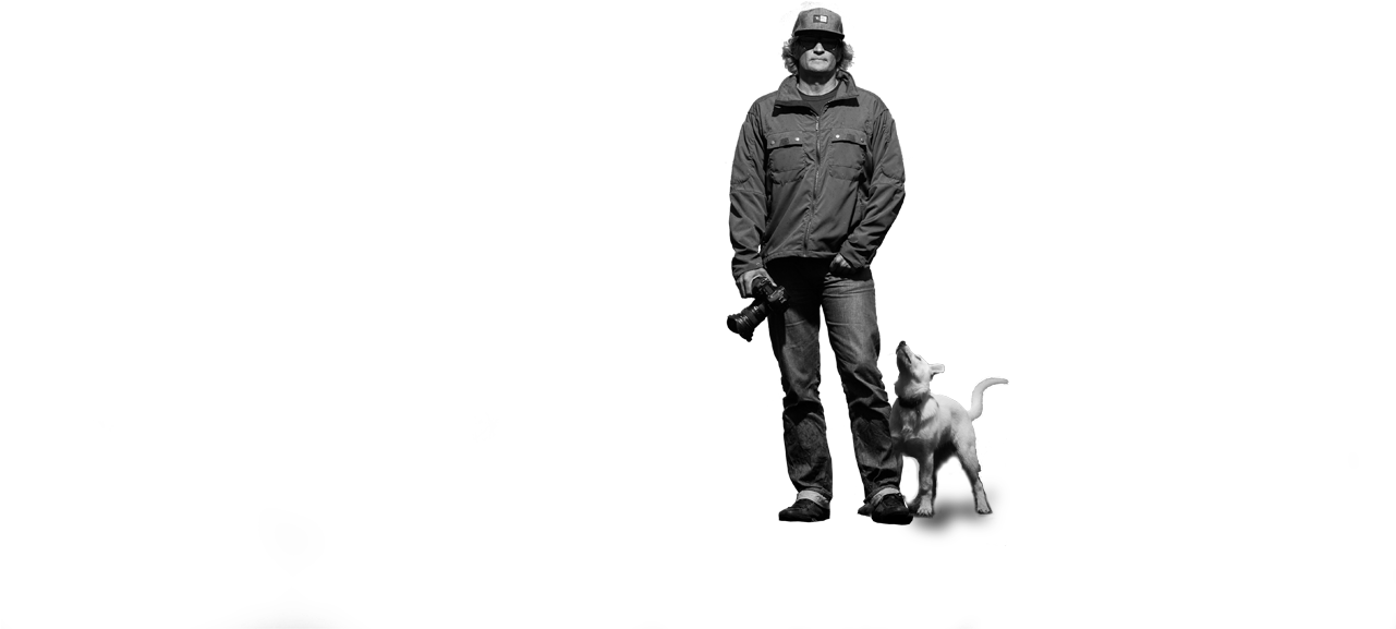 Lance - Dog Walking (1280x728), Png Download