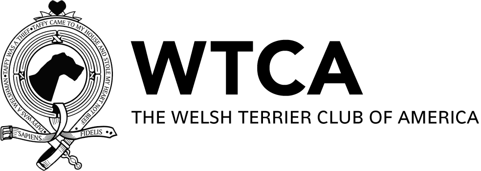 The Wtca - Graphics (984x351), Png Download