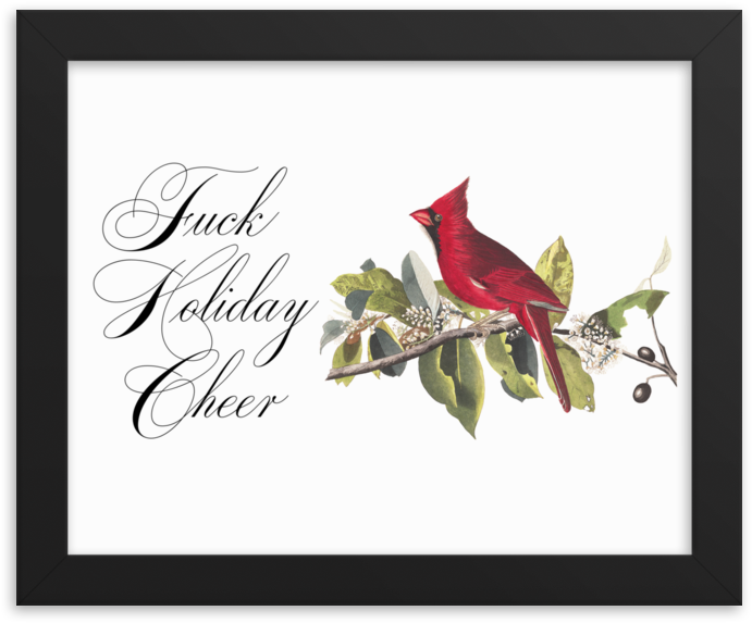 Holiday Cheer Framed - The Birds Of America (1000x1000), Png Download