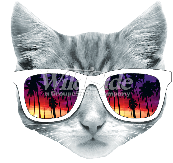 Kitty With Sun Glasses - Cat Face Transparent Background (675x675), Png Download