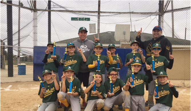 Baseball - College Softball (1024x389), Png Download