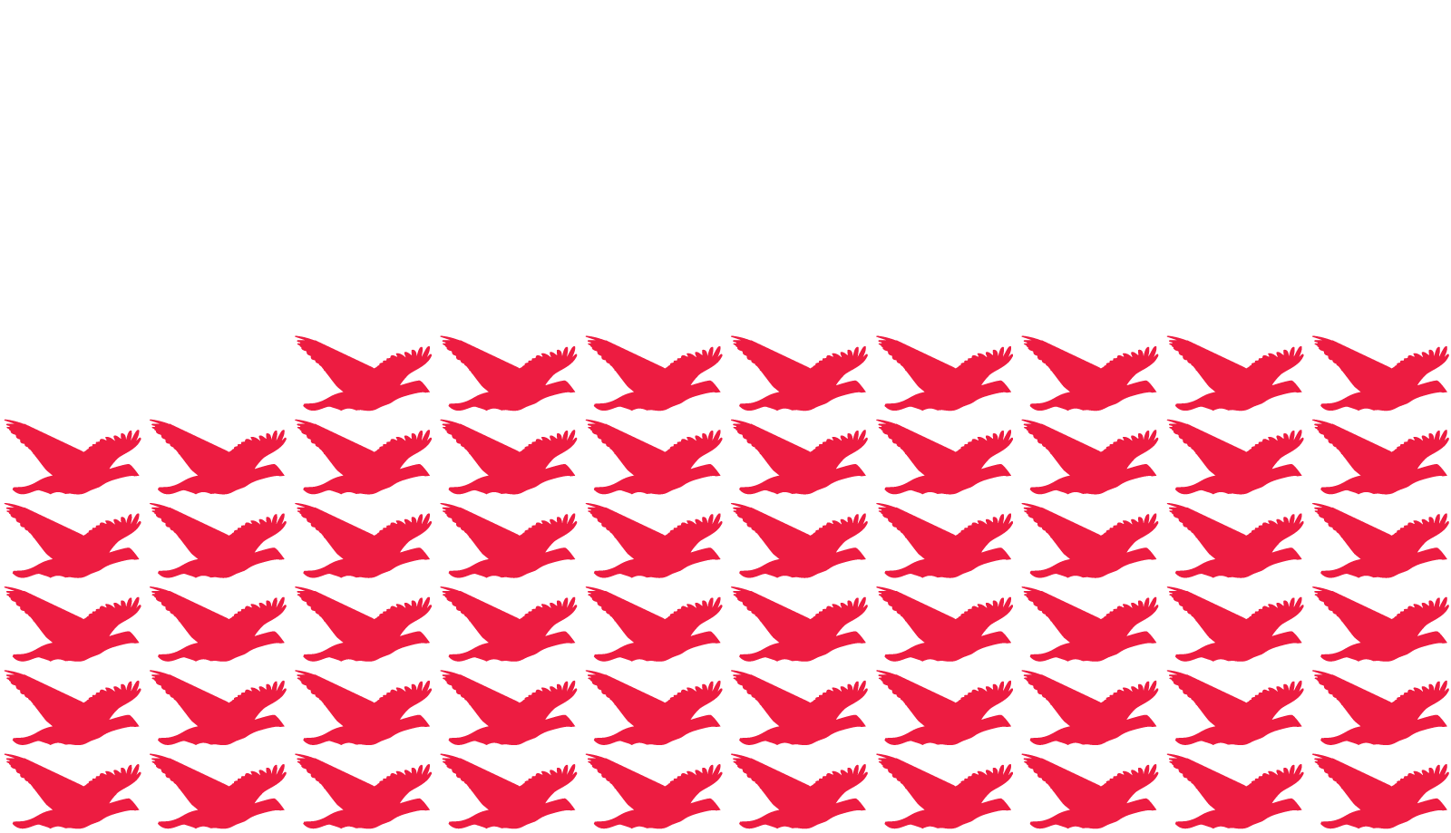 58% Of The Wild Population Of Pink Pigeons Is Wiped (1600x919), Png Download
