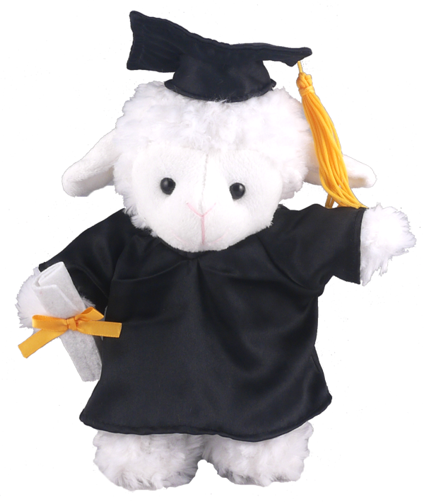 Sheep - Graduation Sheep (600x709), Png Download