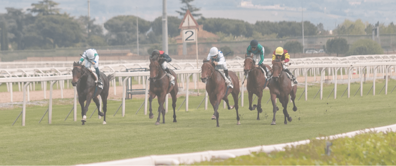 Flat Racing (1366x573), Png Download