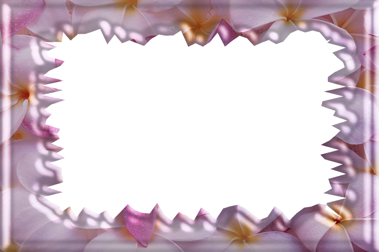 Wedding Png Frams - Sugar Cake (1600x1066), Png Download