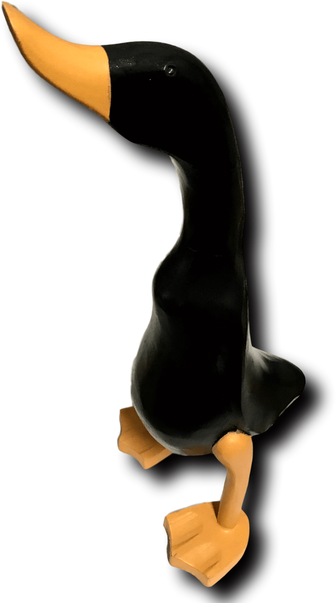 Download Black Duck Duck Full Size PNG Image PNGkit