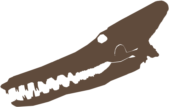 Kutchicetus - Crocodile (600x600), Png Download