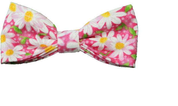 Paisley (750x500), Png Download