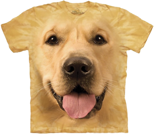 The Mountain Golden Retriever Puppy T-shirt Dog Gold - Golden Labrador T Shirt (800x505), Png Download