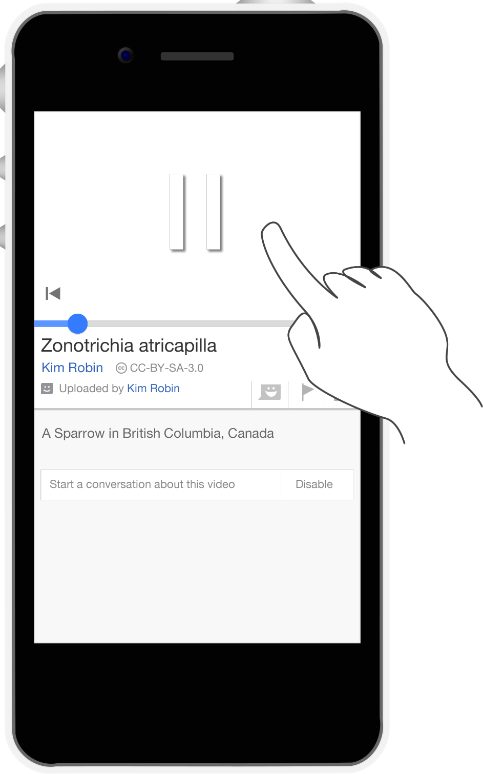 Media Viewer Mobile - Iphone (943x1510), Png Download