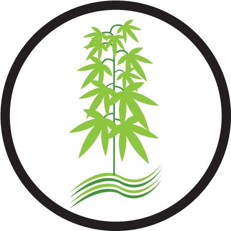 Marijuana And Growing - Circle (640x480), Png Download