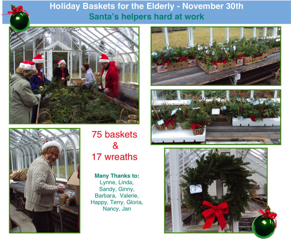 Holiday Pictures For Elderly Copy - Greenhouse (1000x831), Png Download