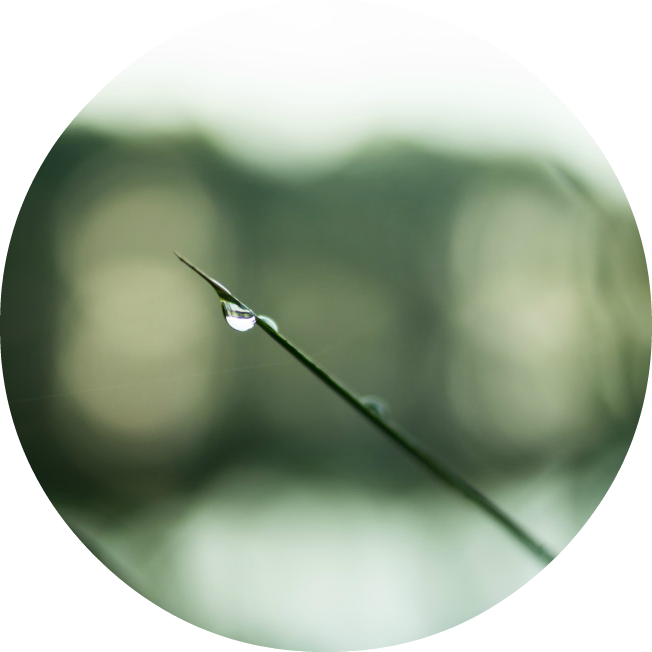 Toxins, Pollutants Your Nervous System - Macro Photography (652x652), Png Download