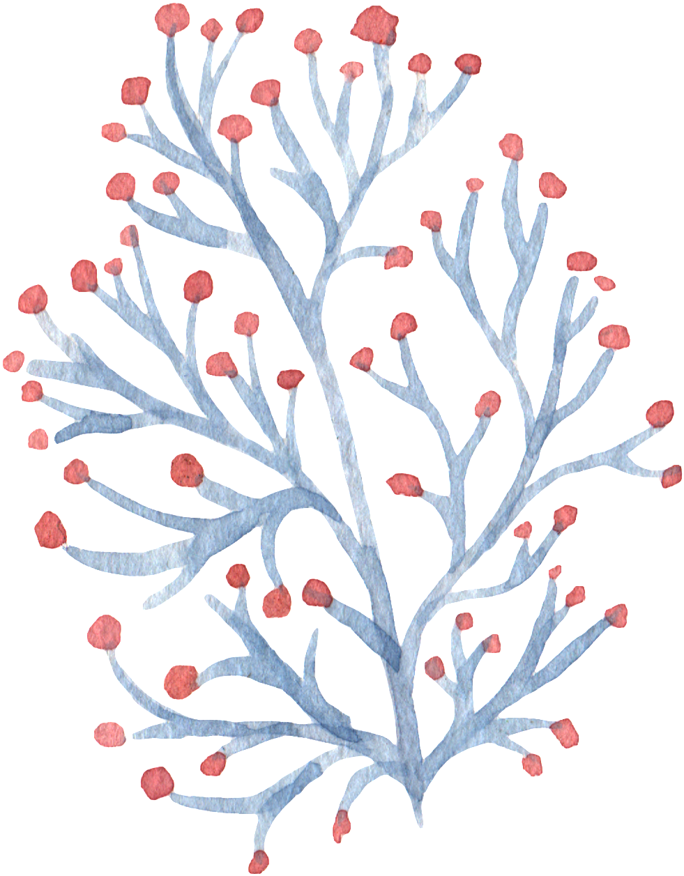 Watercolor Painting (1024x1300), Png Download