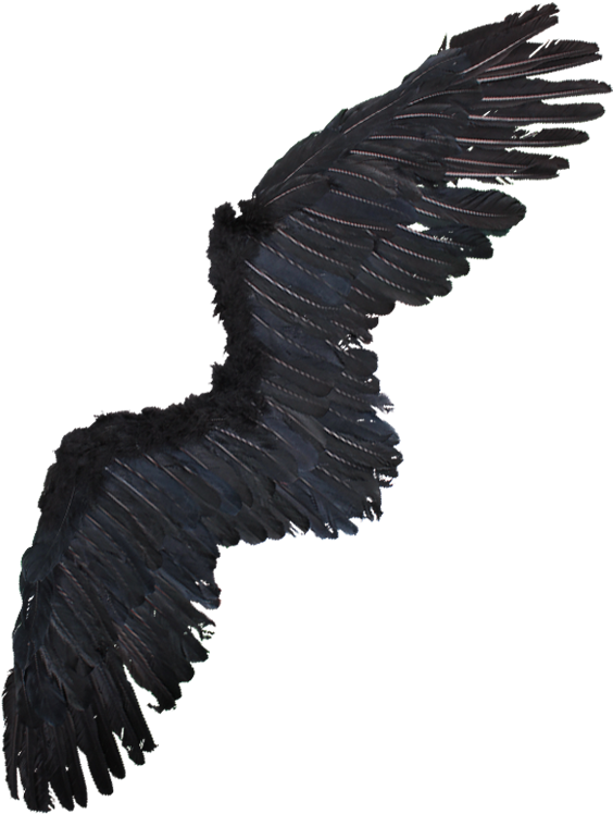 Alas De Aguila Png - Alas De Aguila Disfraz (600x797), Png Download