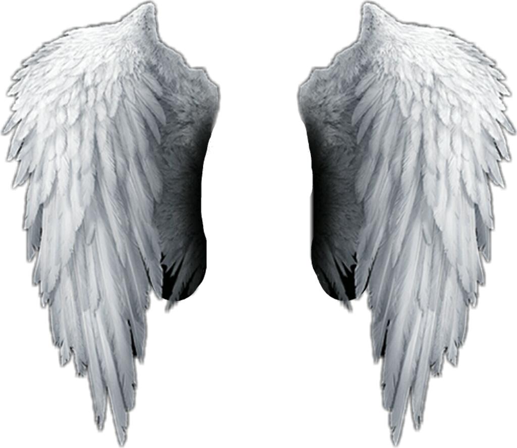 White Sticker - Angel Wings Png Hd (1024x886), Png Download