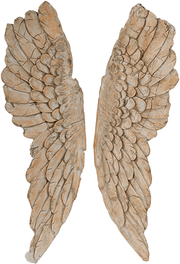 Angel Wings - Decorative Arts (600x600), Png Download